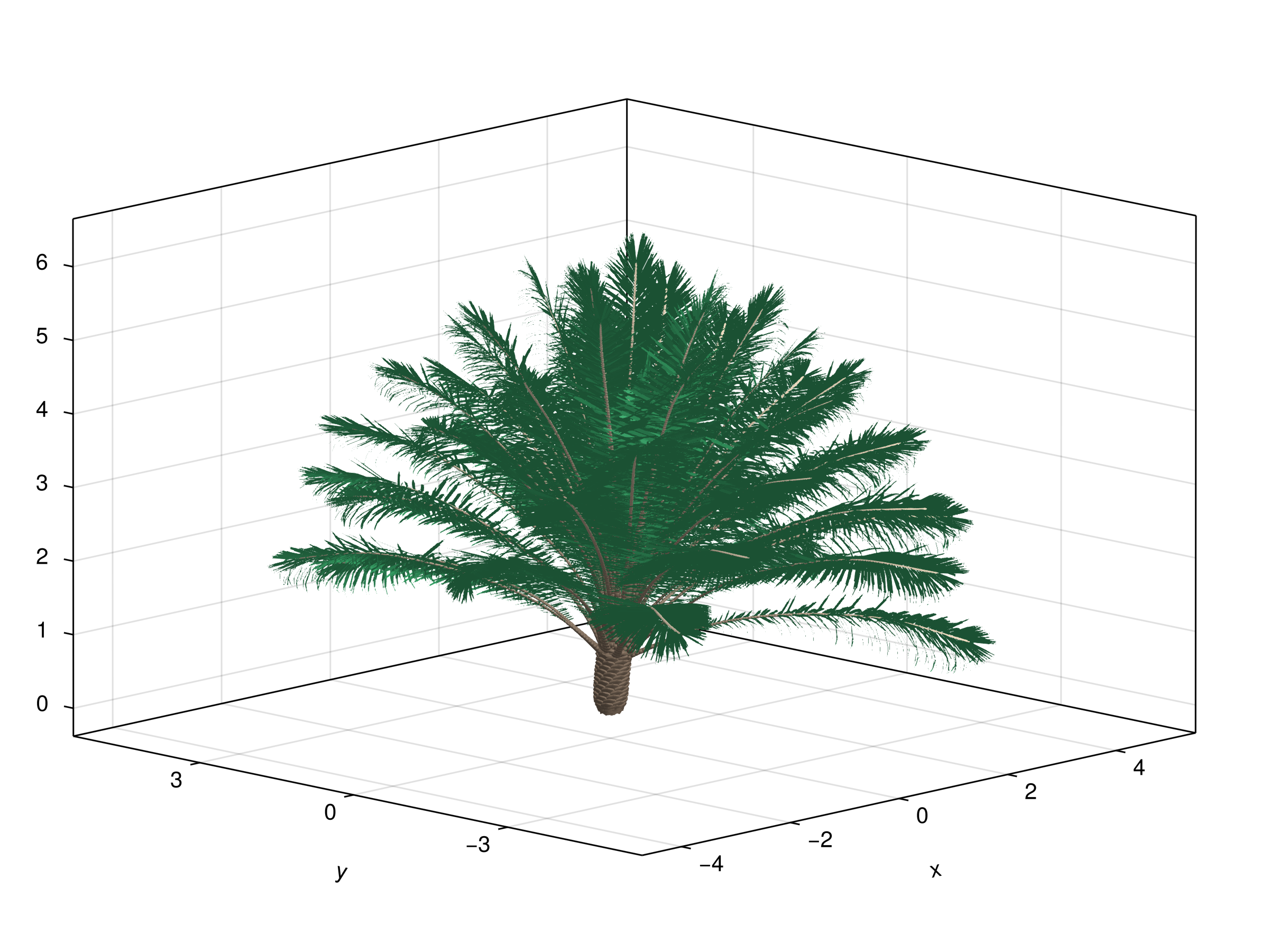 palm plant